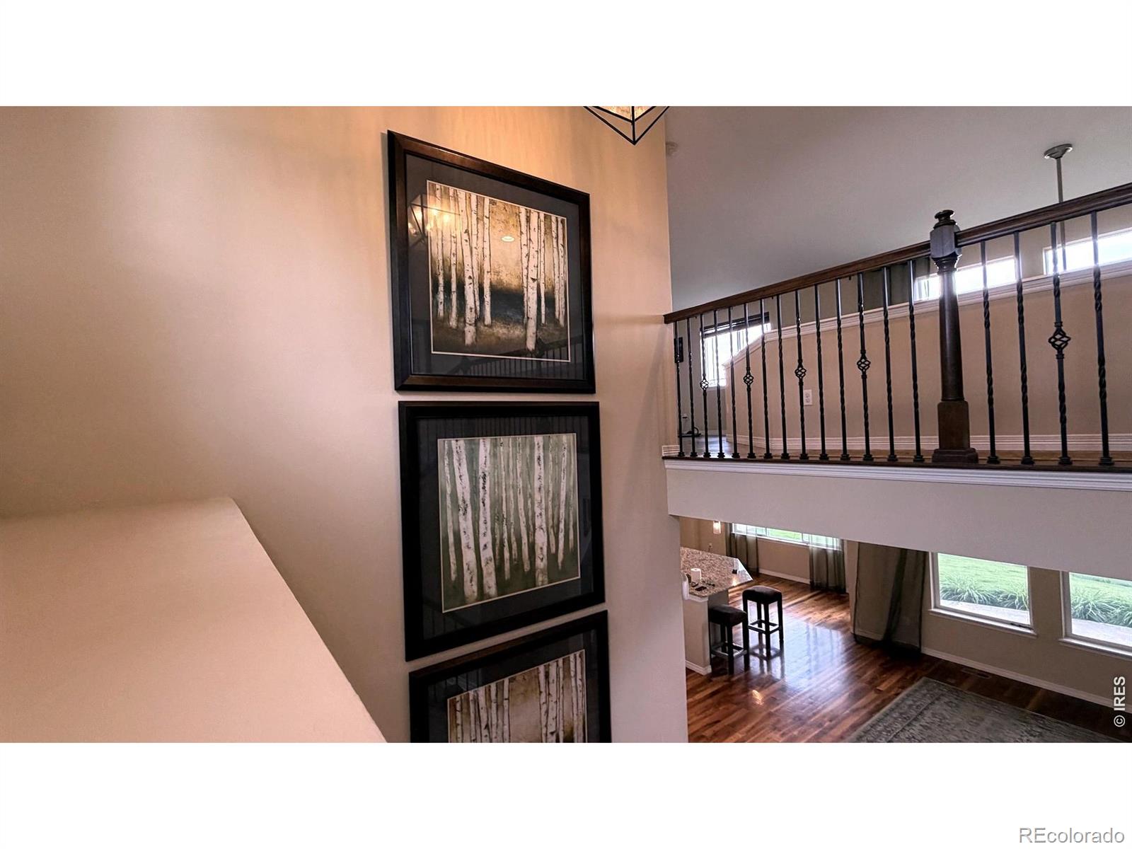 MLS Image #26 for 4613  pompano drive,windsor, Colorado