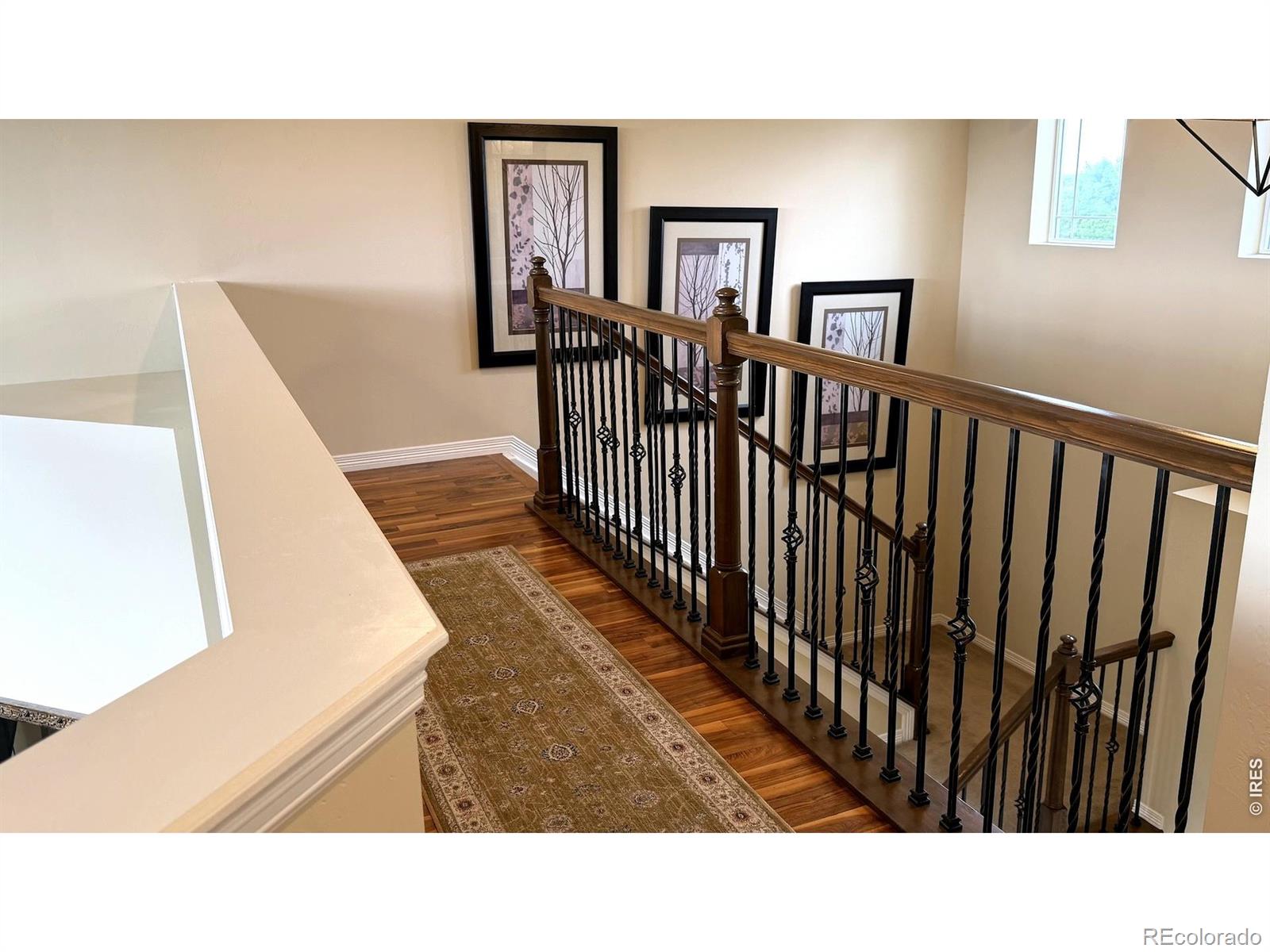 MLS Image #27 for 4613  pompano drive,windsor, Colorado
