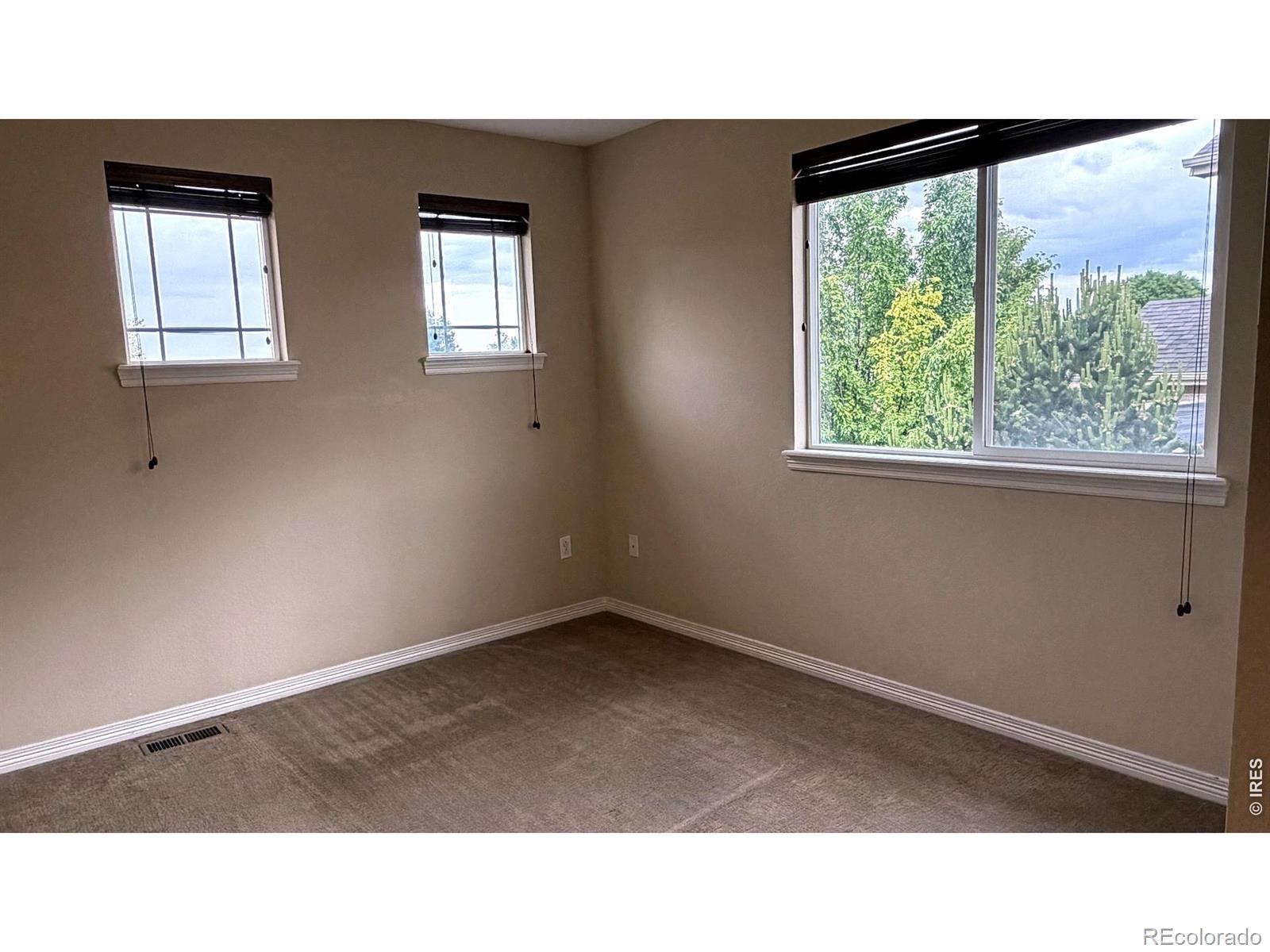 MLS Image #38 for 4613  pompano drive,windsor, Colorado