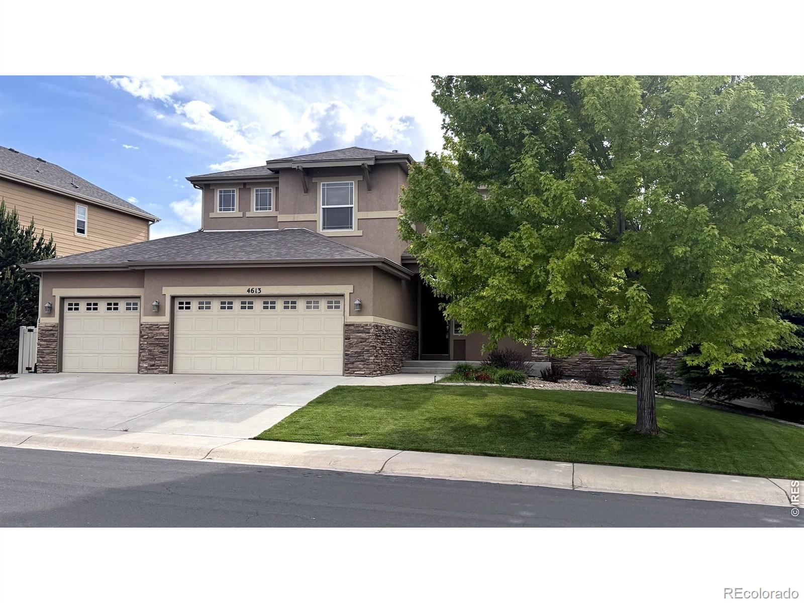 MLS Image #44 for 4613  pompano drive,windsor, Colorado