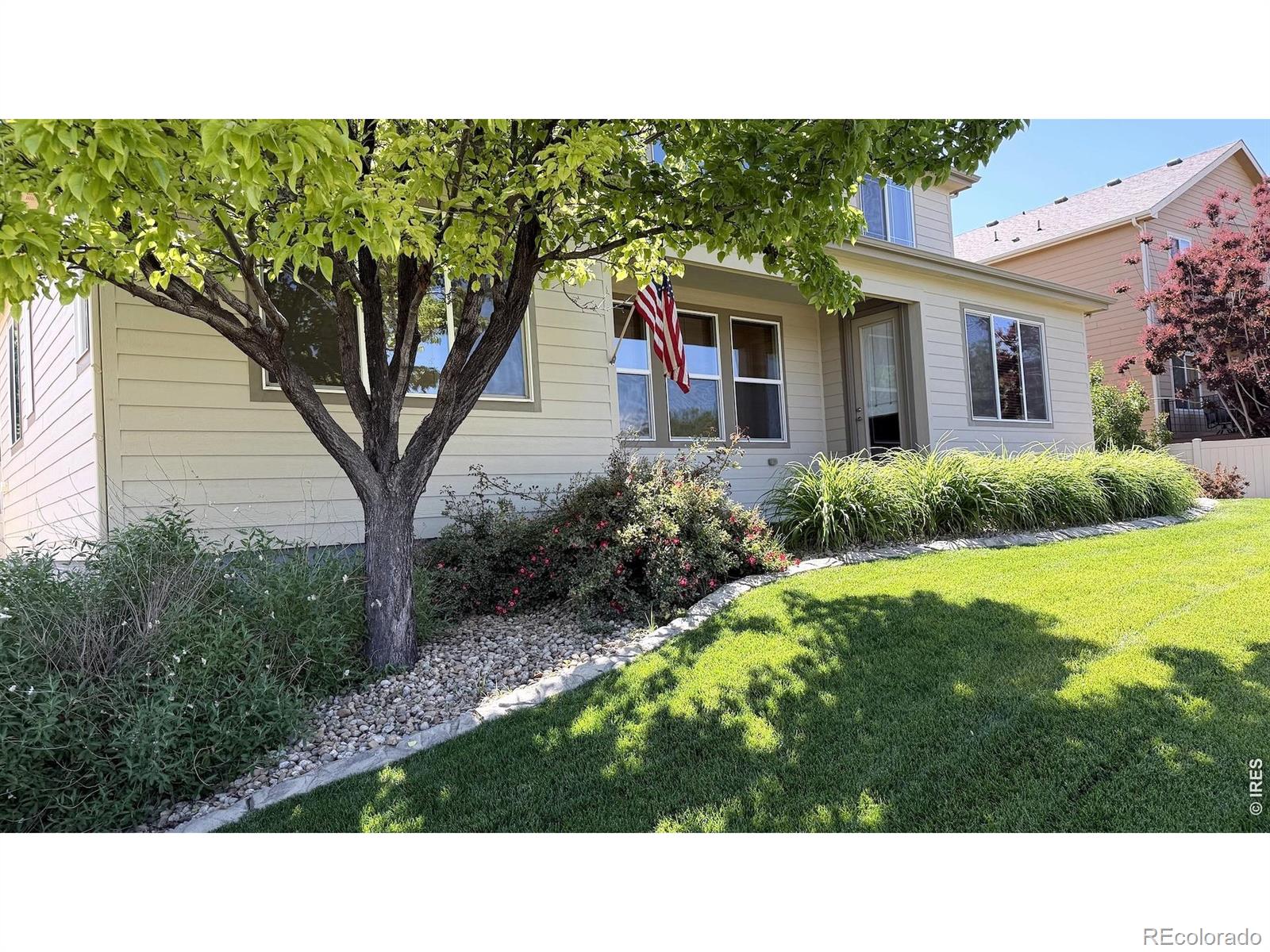 MLS Image #45 for 4613  pompano drive,windsor, Colorado