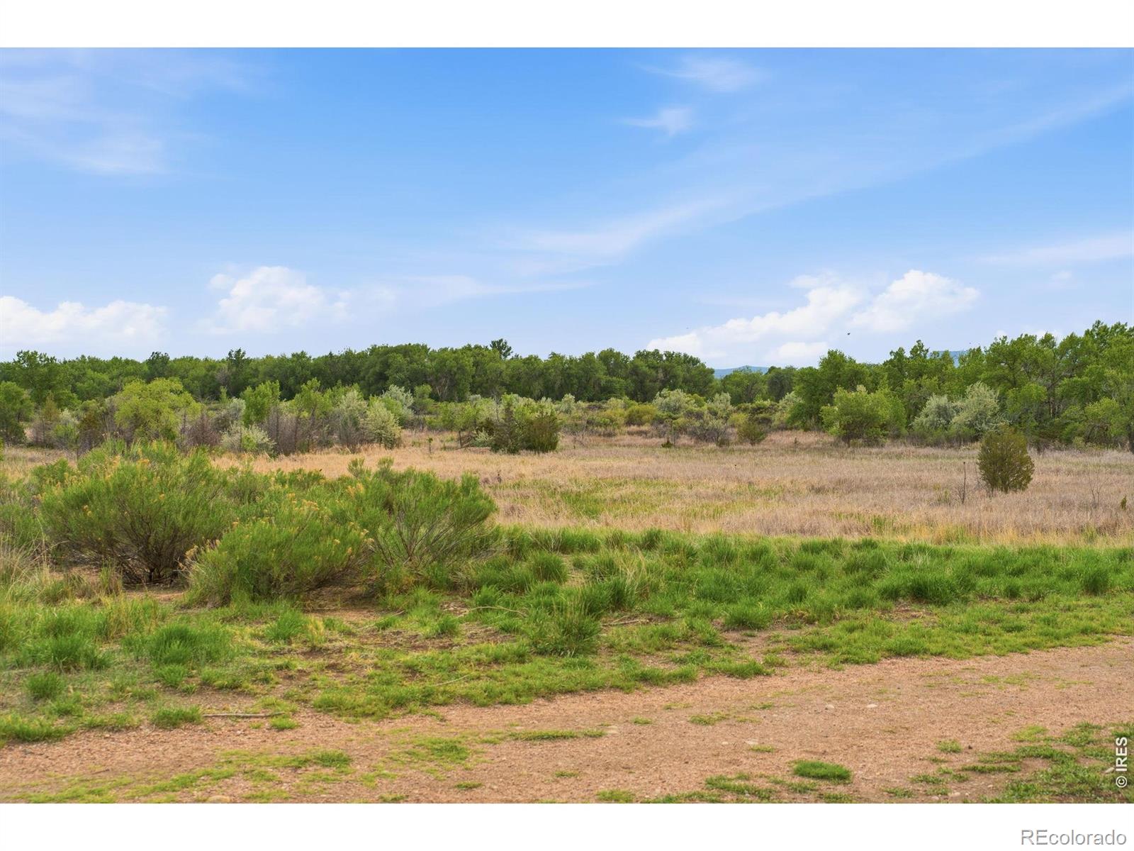 MLS Image #3 for 2809  cherly street,fort collins, Colorado