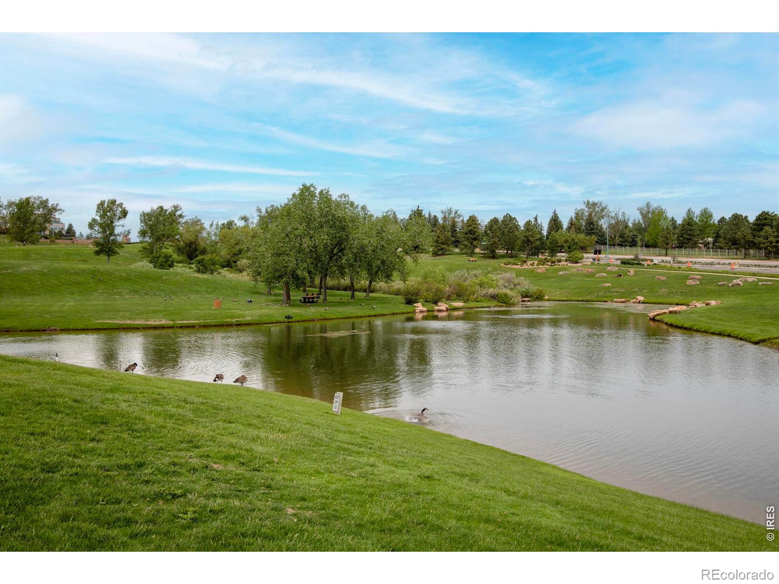 MLS Image #45 for 908 e kirk way,superior, Colorado