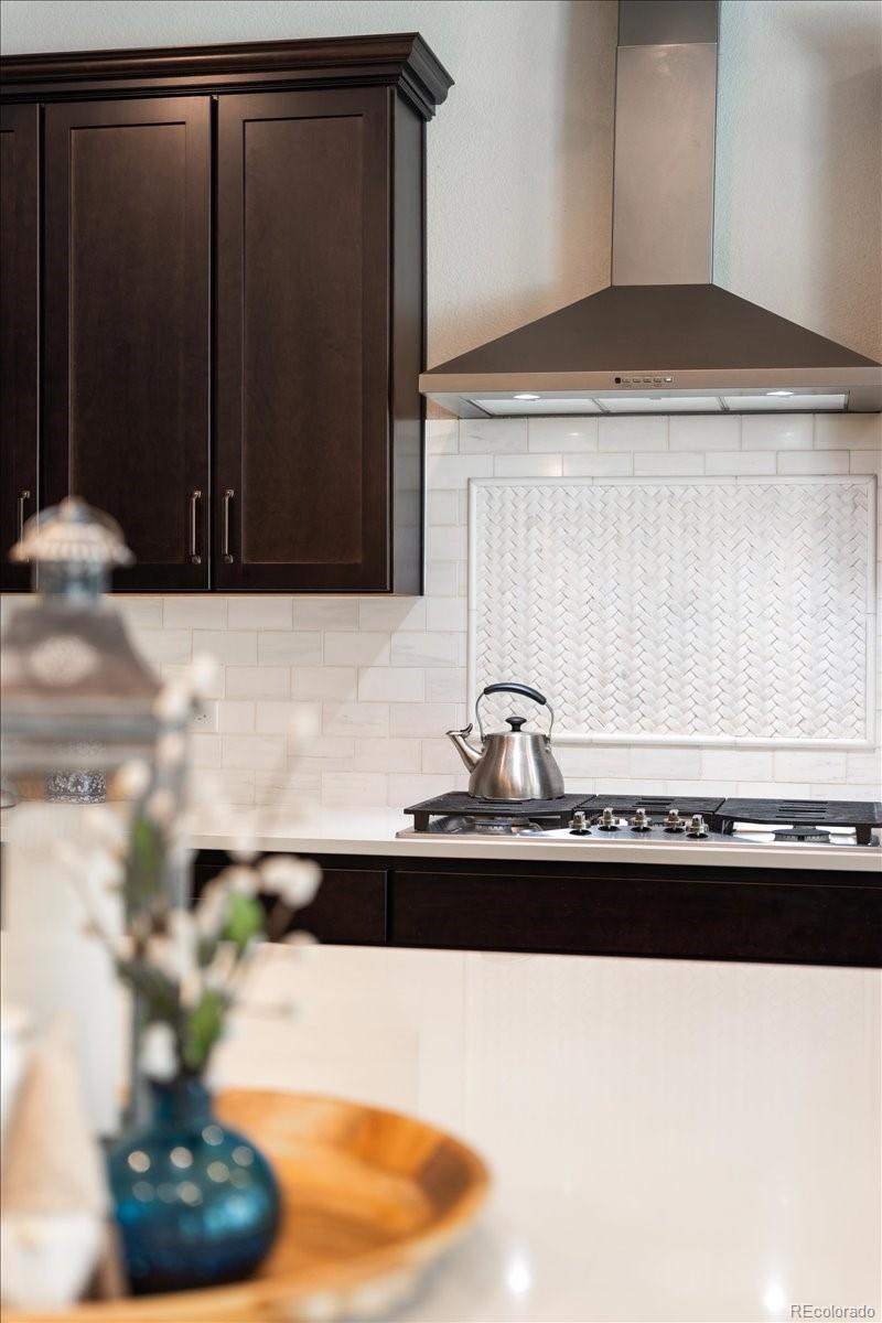 MLS Image #10 for 8480  arapahoe peak street,littleton, Colorado