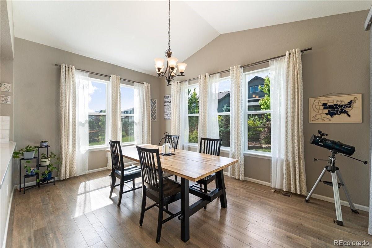 MLS Image #14 for 8480  arapahoe peak street,littleton, Colorado