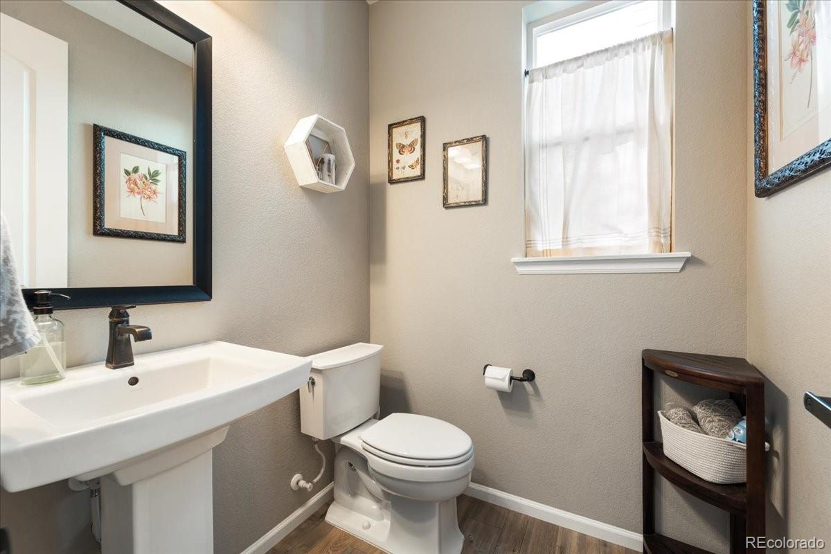 MLS Image #21 for 8480  arapahoe peak street,littleton, Colorado