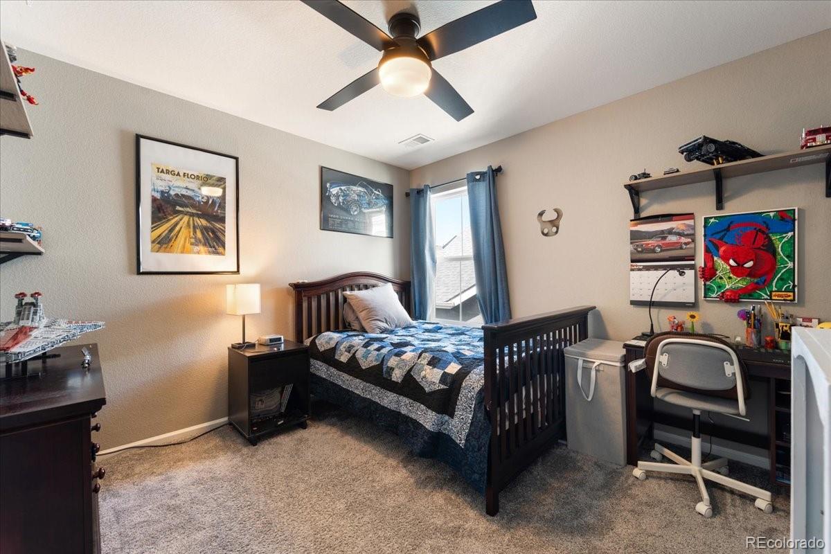 MLS Image #32 for 8480  arapahoe peak street,littleton, Colorado