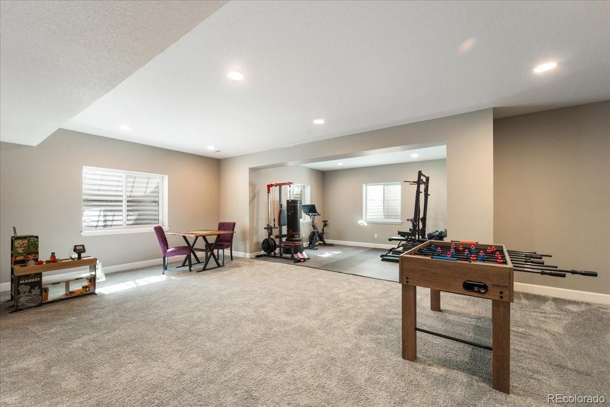 MLS Image #37 for 8480  arapahoe peak street,littleton, Colorado