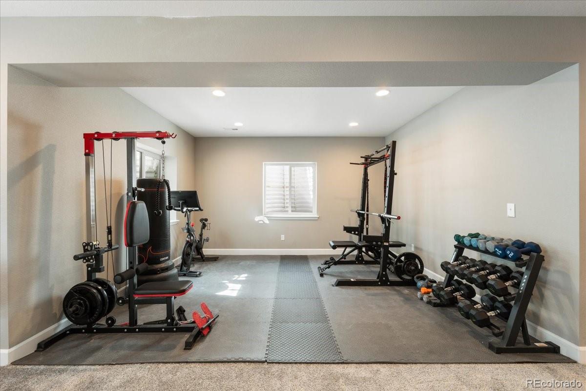 MLS Image #38 for 8480  arapahoe peak street,littleton, Colorado