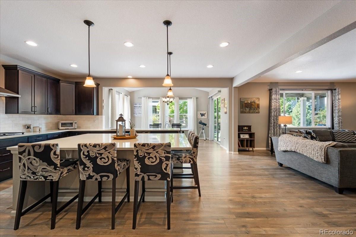 MLS Image #5 for 8480  arapahoe peak street,littleton, Colorado
