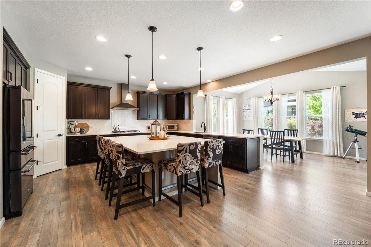 MLS Image #6 for 8480  arapahoe peak street,littleton, Colorado