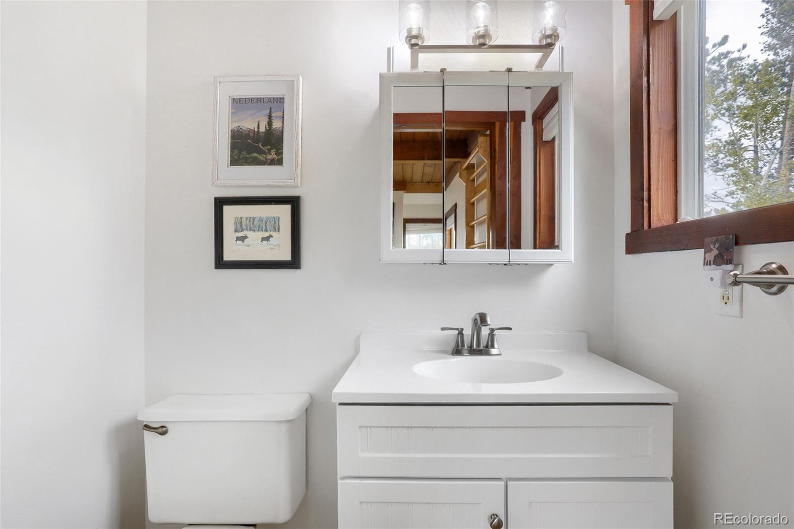 MLS Image #19 for 2  debra ann road,golden, Colorado