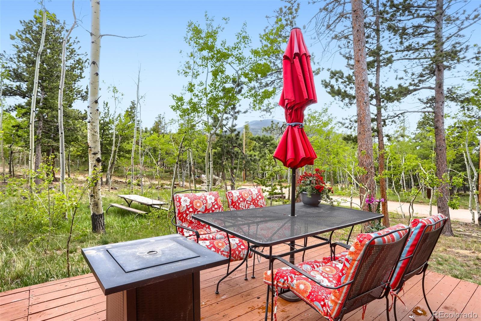 MLS Image #25 for 2  debra ann road,golden, Colorado
