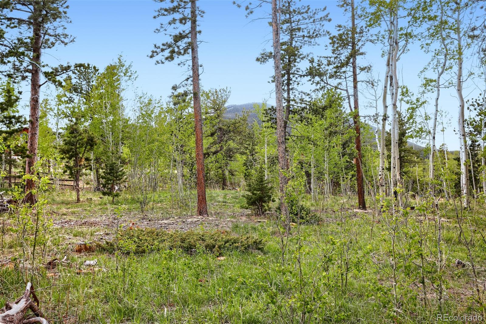 MLS Image #27 for 2  debra ann road,golden, Colorado