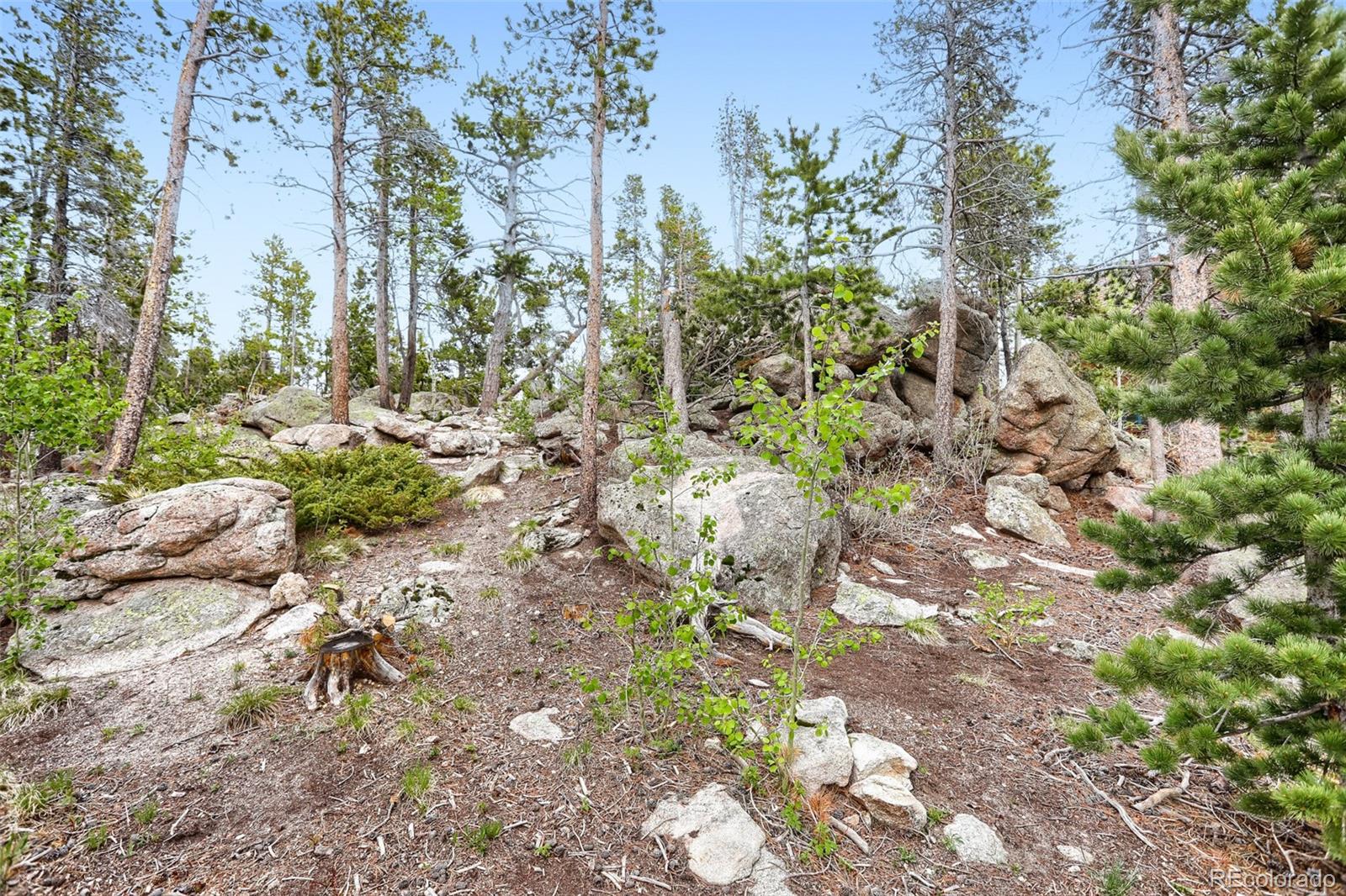 MLS Image #29 for 2  debra ann road,golden, Colorado