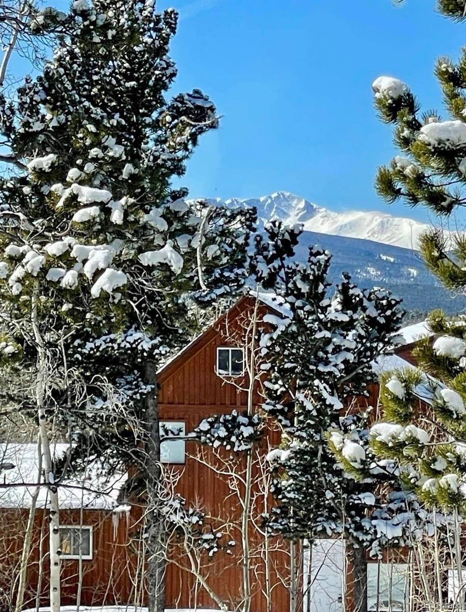 MLS Image #31 for 2  debra ann road,golden, Colorado