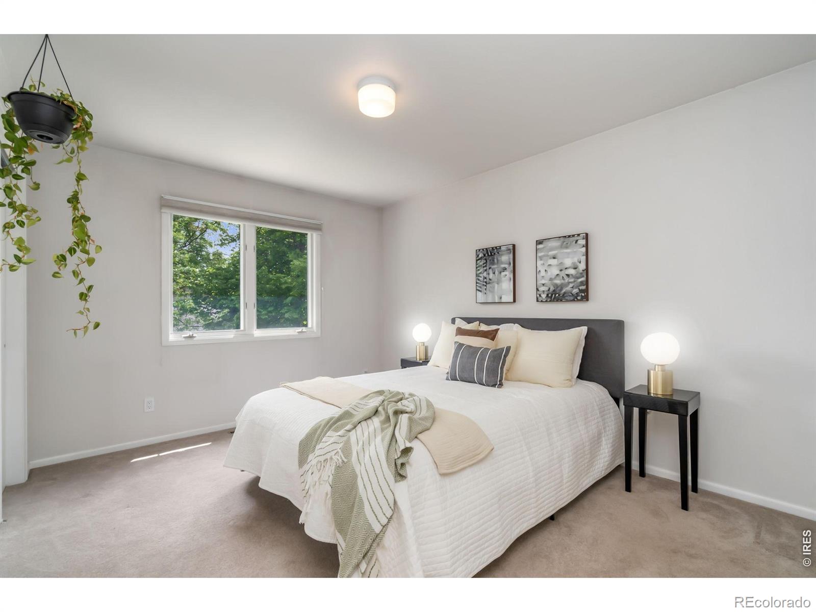 MLS Image #21 for 3920  century drive,fort collins, Colorado