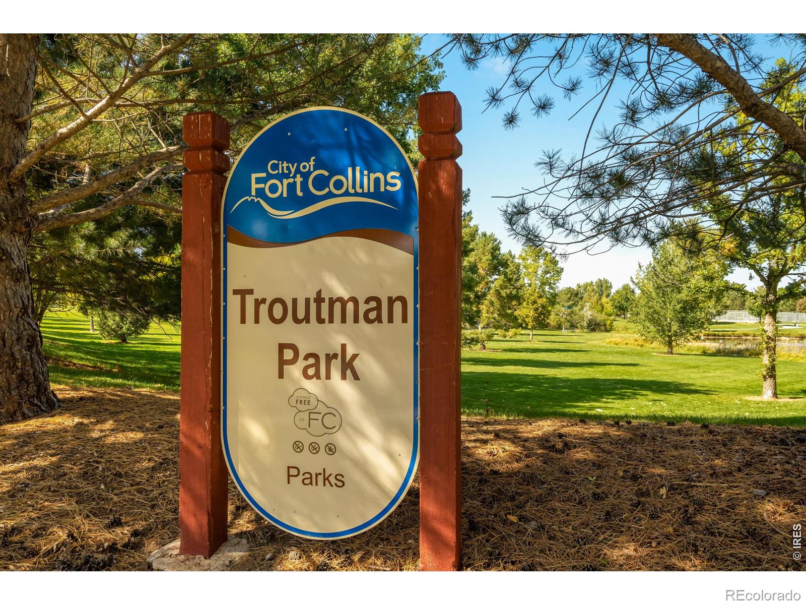 MLS Image #38 for 3920  century drive,fort collins, Colorado