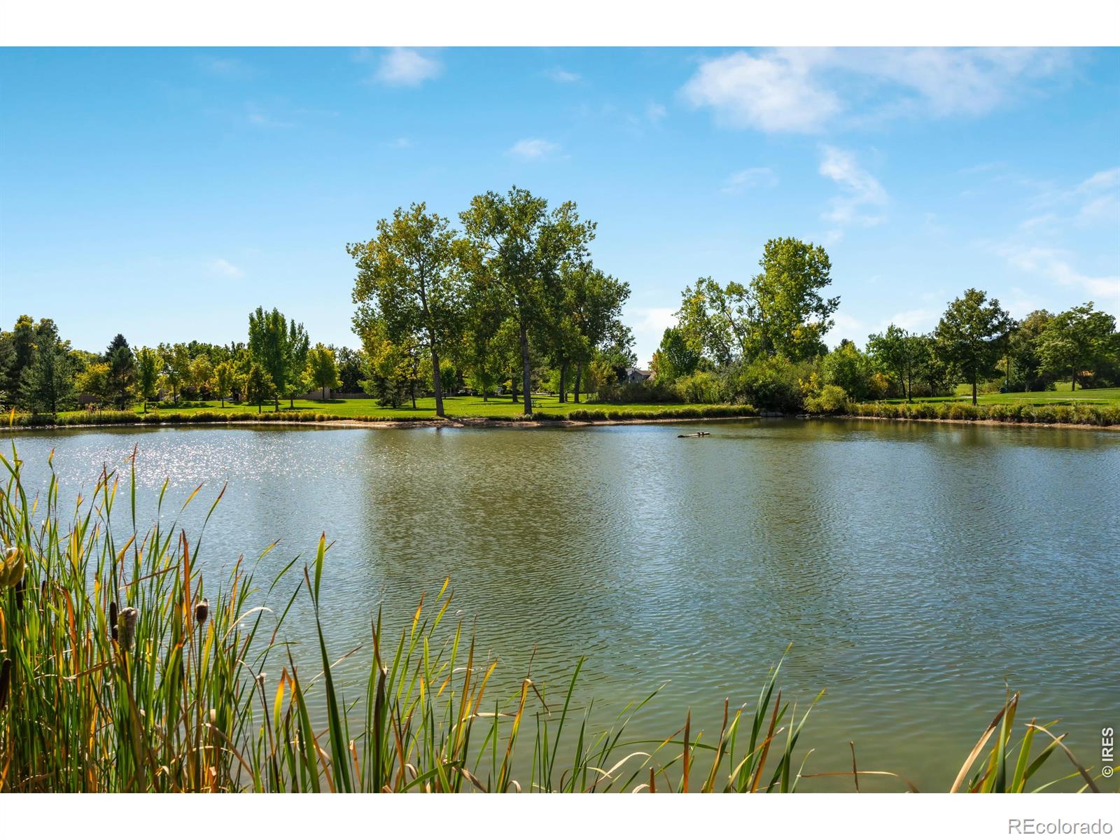 MLS Image #39 for 3920  century drive,fort collins, Colorado