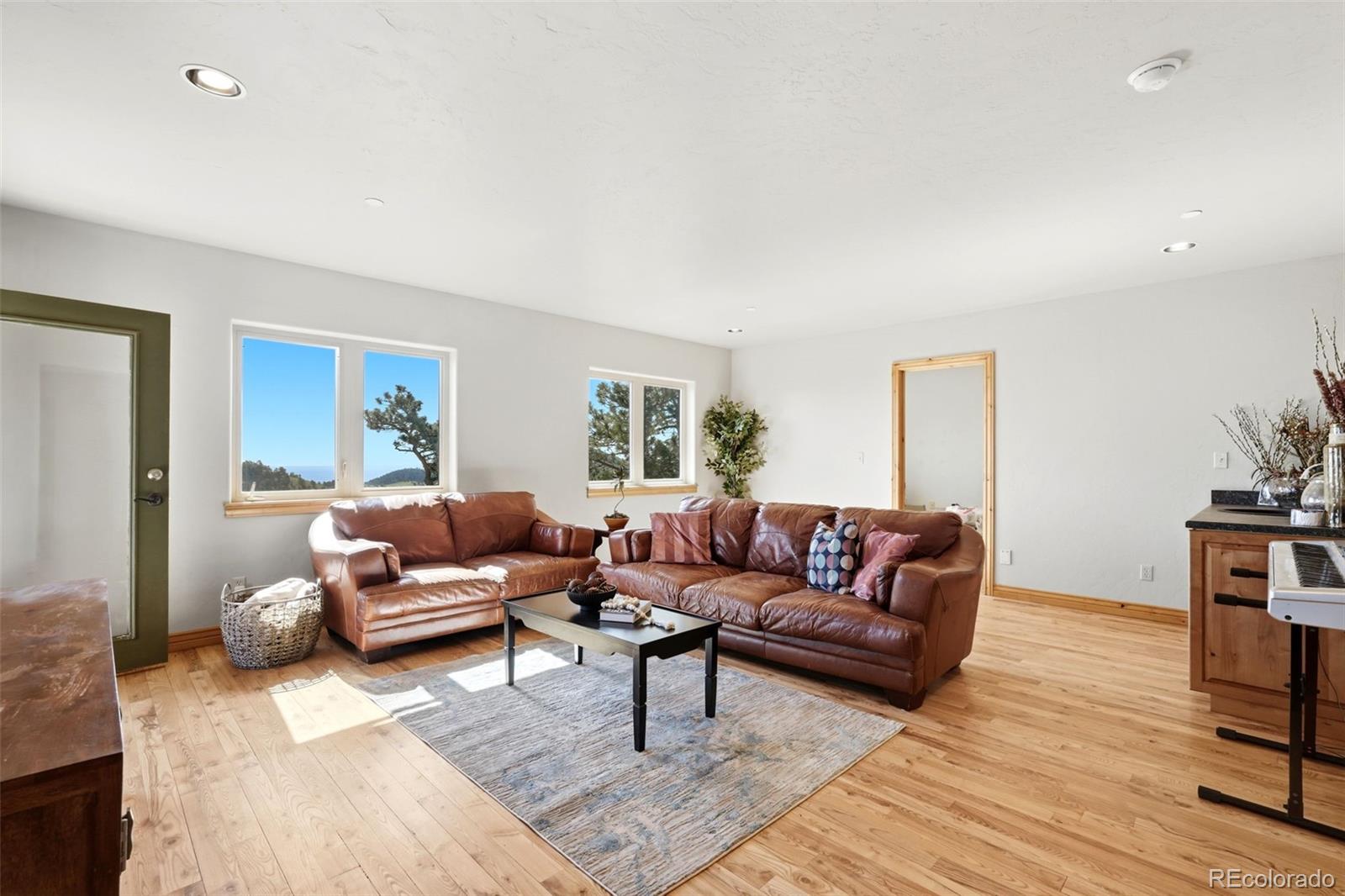 MLS Image #29 for 1520 s lininger drive,golden, Colorado