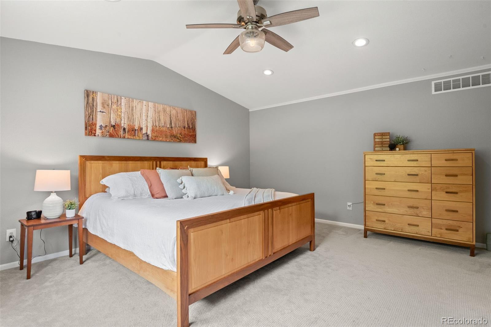 MLS Image #21 for 7221  pine hills way,littleton, Colorado