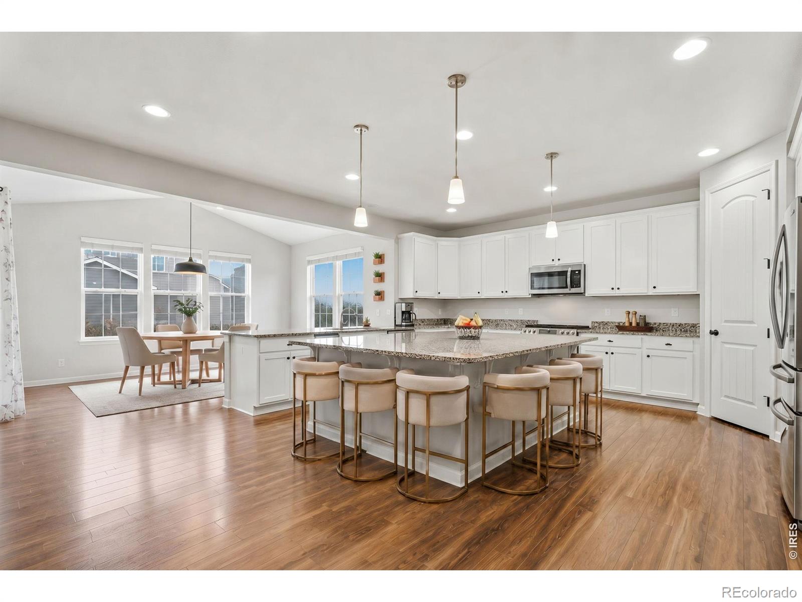 MLS Image #10 for 9776  camas lane,littleton, Colorado