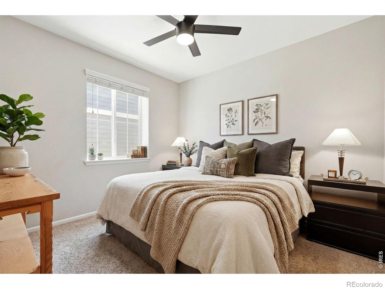 MLS Image #13 for 9776  camas lane,littleton, Colorado