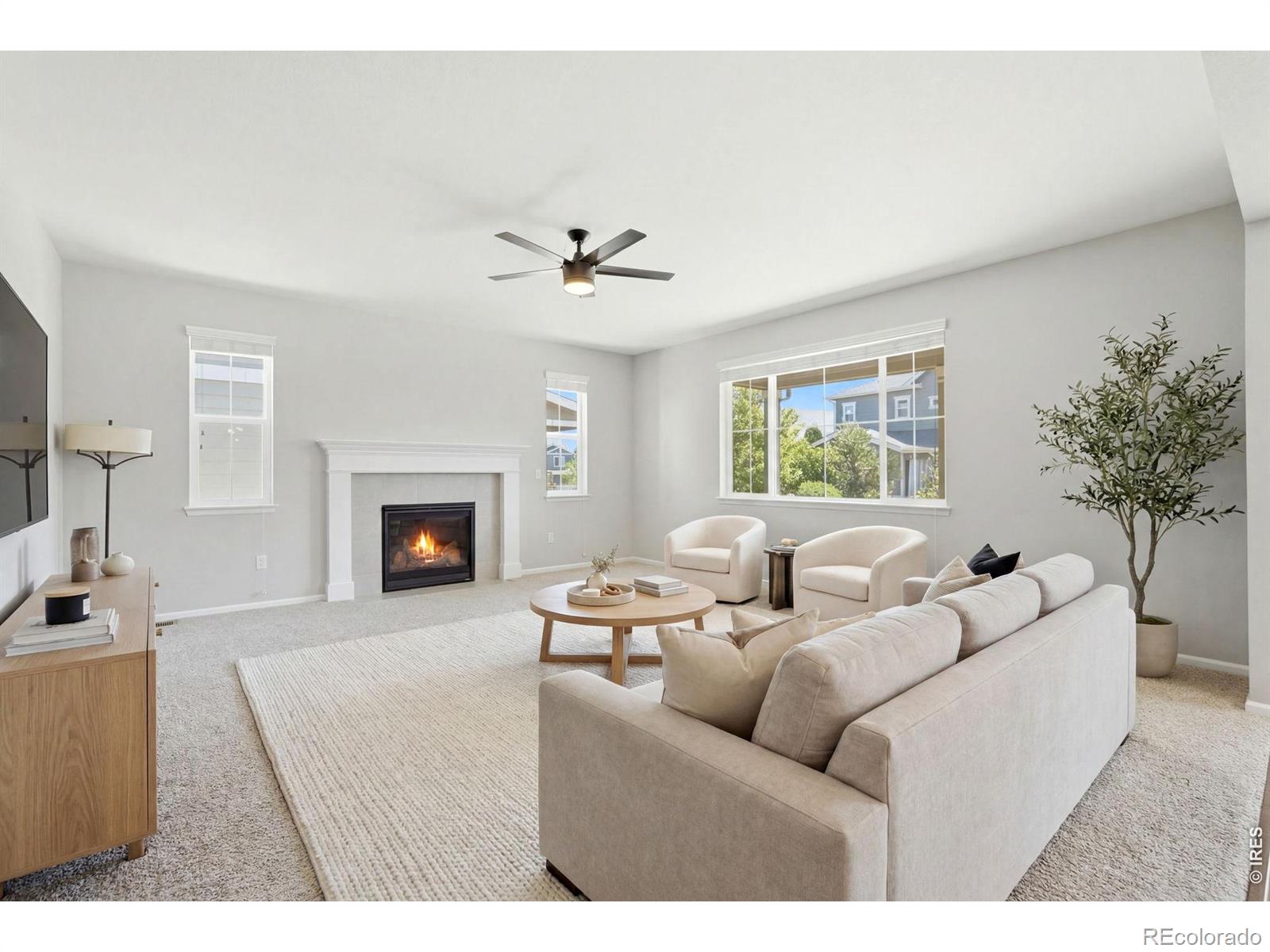 MLS Image #5 for 9776  camas lane,littleton, Colorado