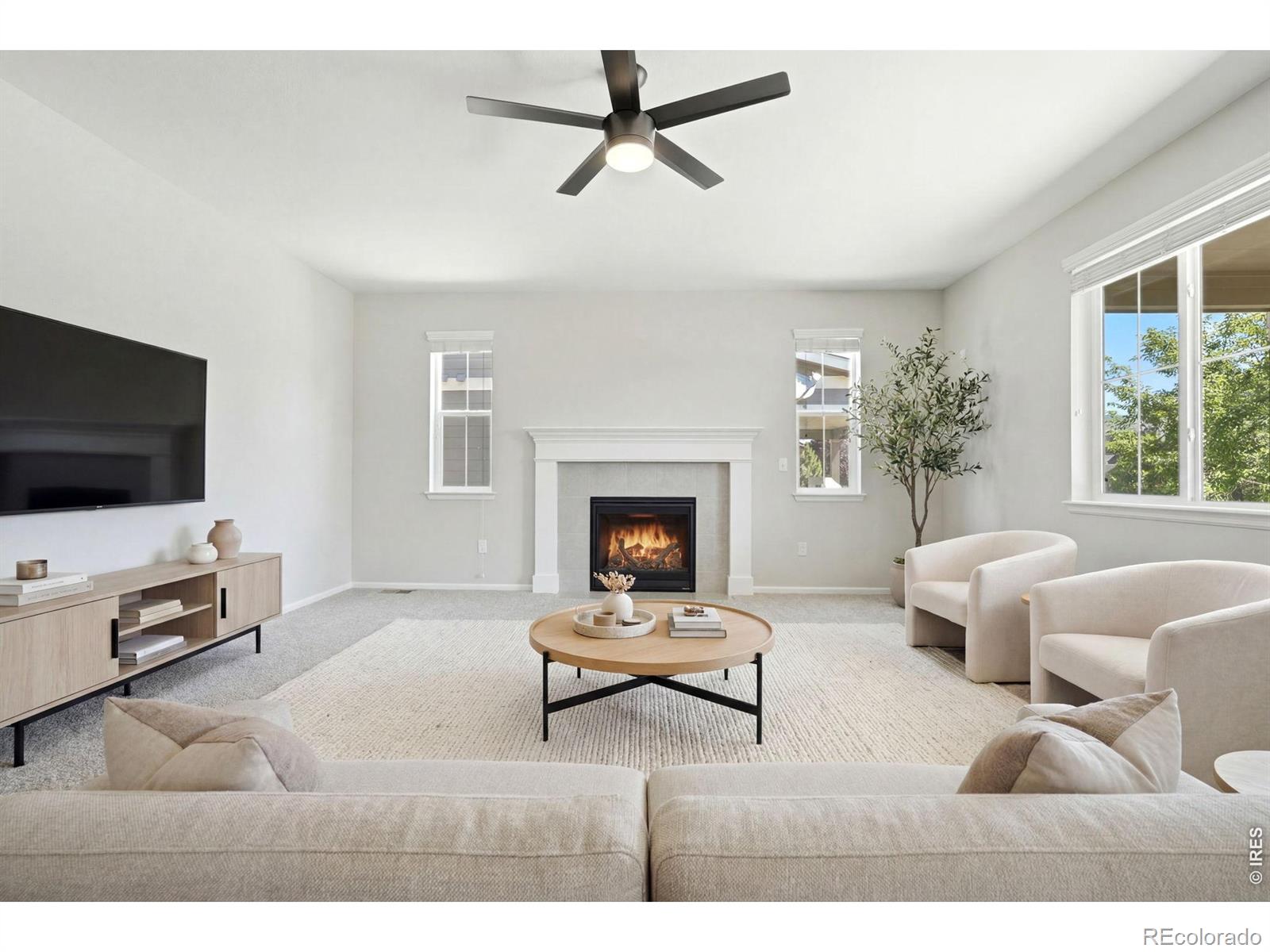 MLS Image #6 for 9776  camas lane,littleton, Colorado