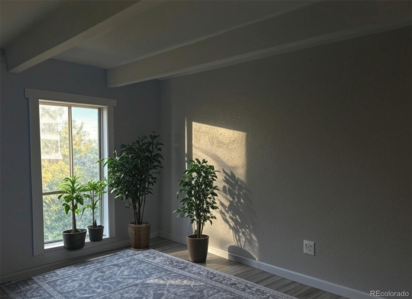 MLS Image #3 for 8060 e girard avenue,denver, Colorado