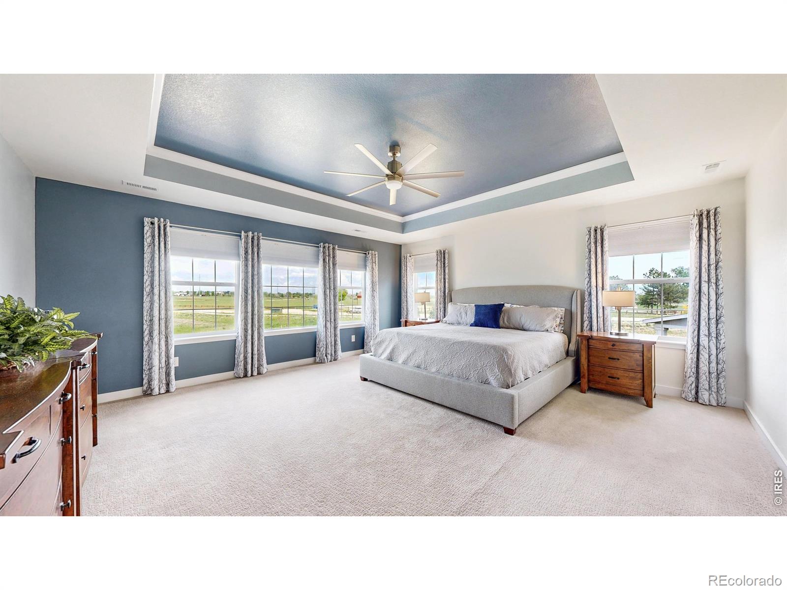 MLS Image #10 for 2840  fractus street,timnath, Colorado
