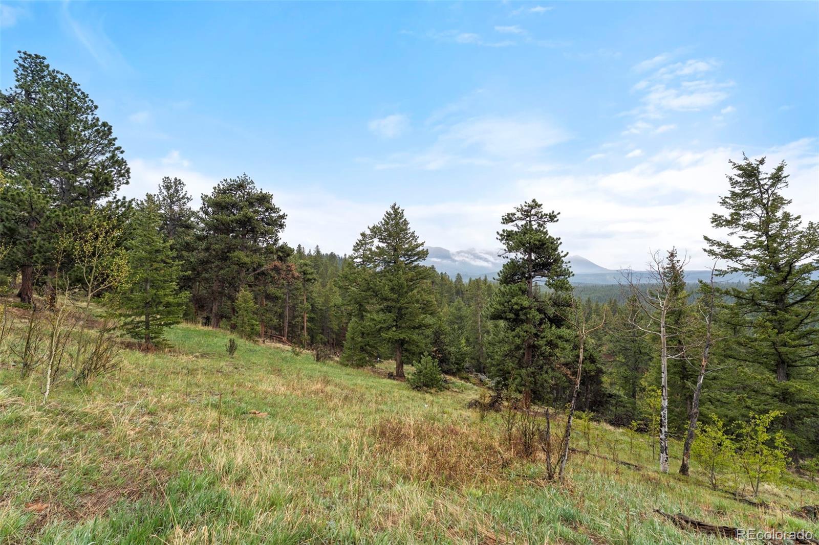 MLS Image #26 for 515 n beaver road,black hawk, Colorado