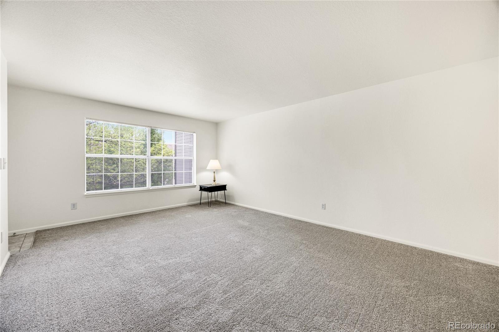 MLS Image #10 for 9212 e arbor circle e,englewood, Colorado
