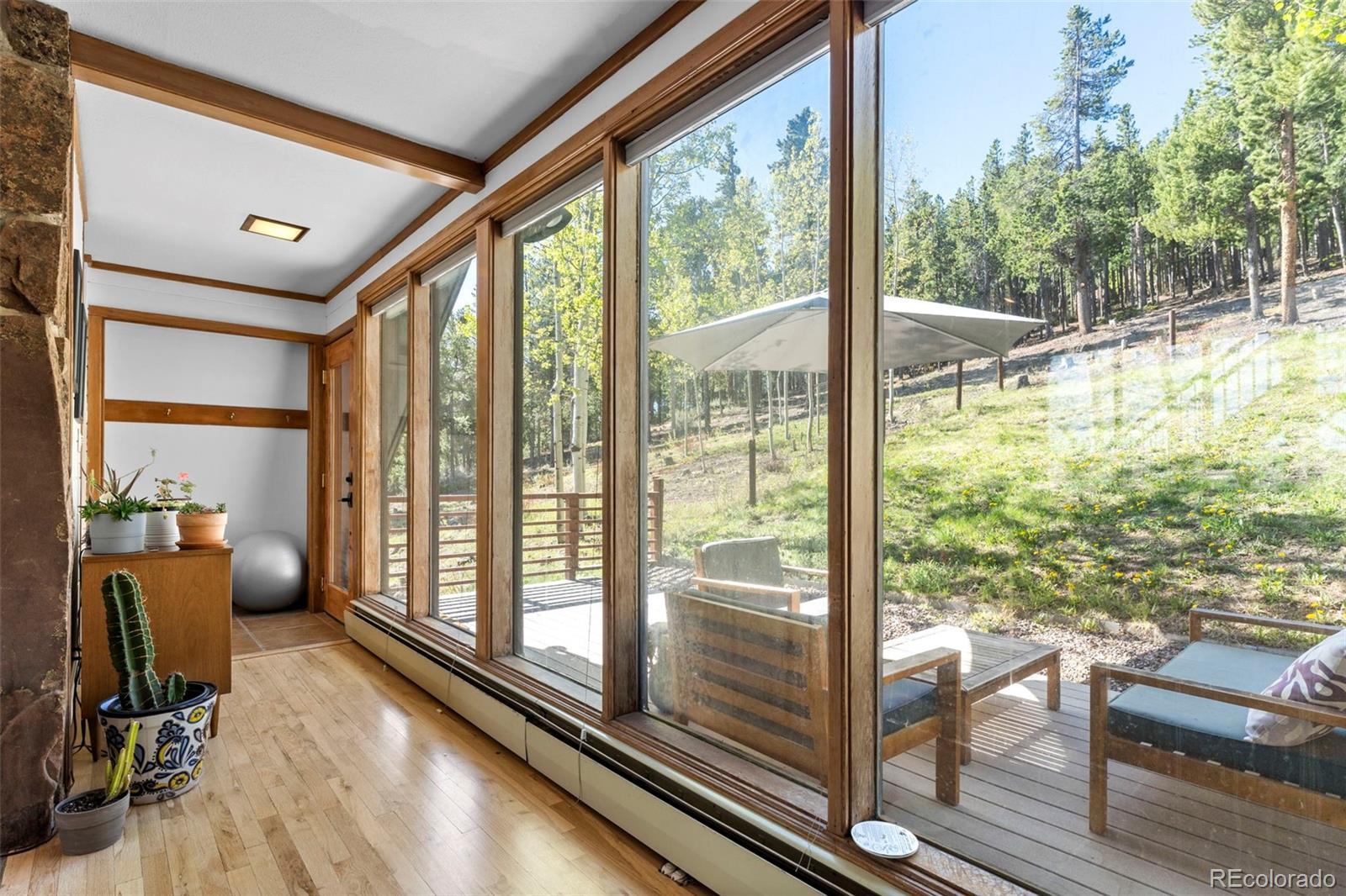 MLS Image #14 for 56  valley view drive,nederland, Colorado