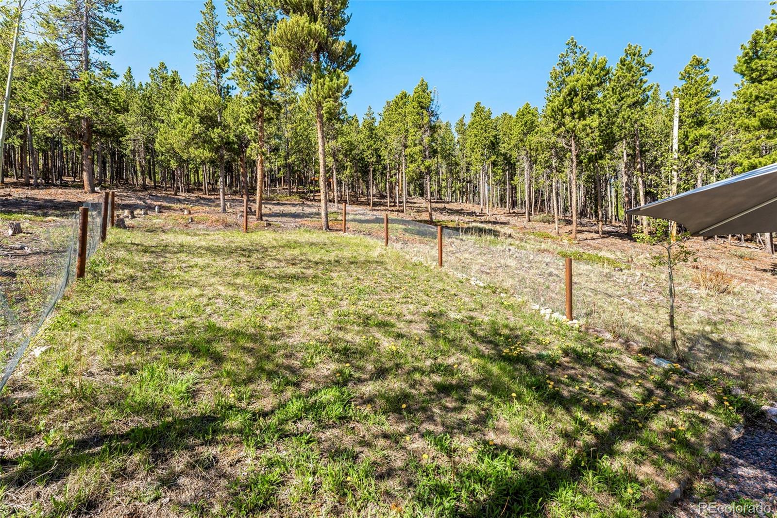 MLS Image #16 for 56  valley view drive,nederland, Colorado