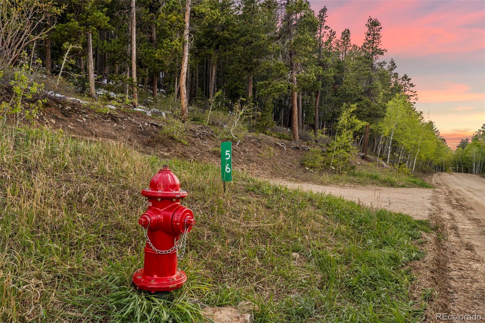 MLS Image #45 for 56  valley view drive,nederland, Colorado
