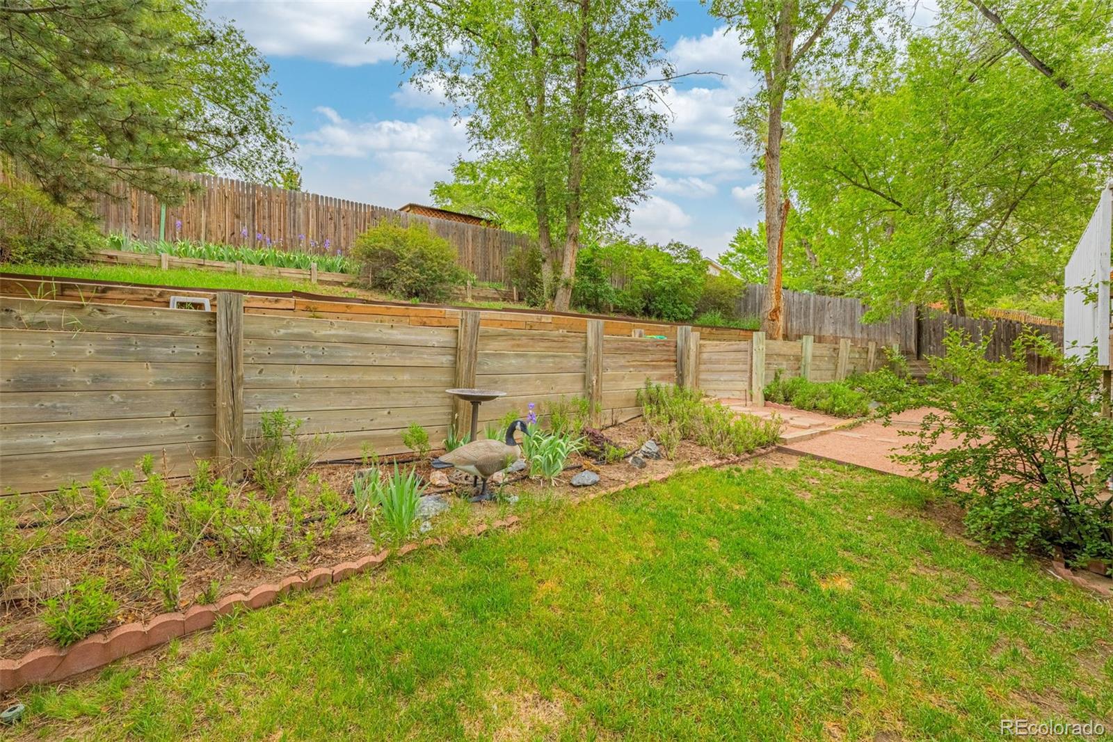 MLS Image #19 for 4224  whittier drive,colorado springs, Colorado