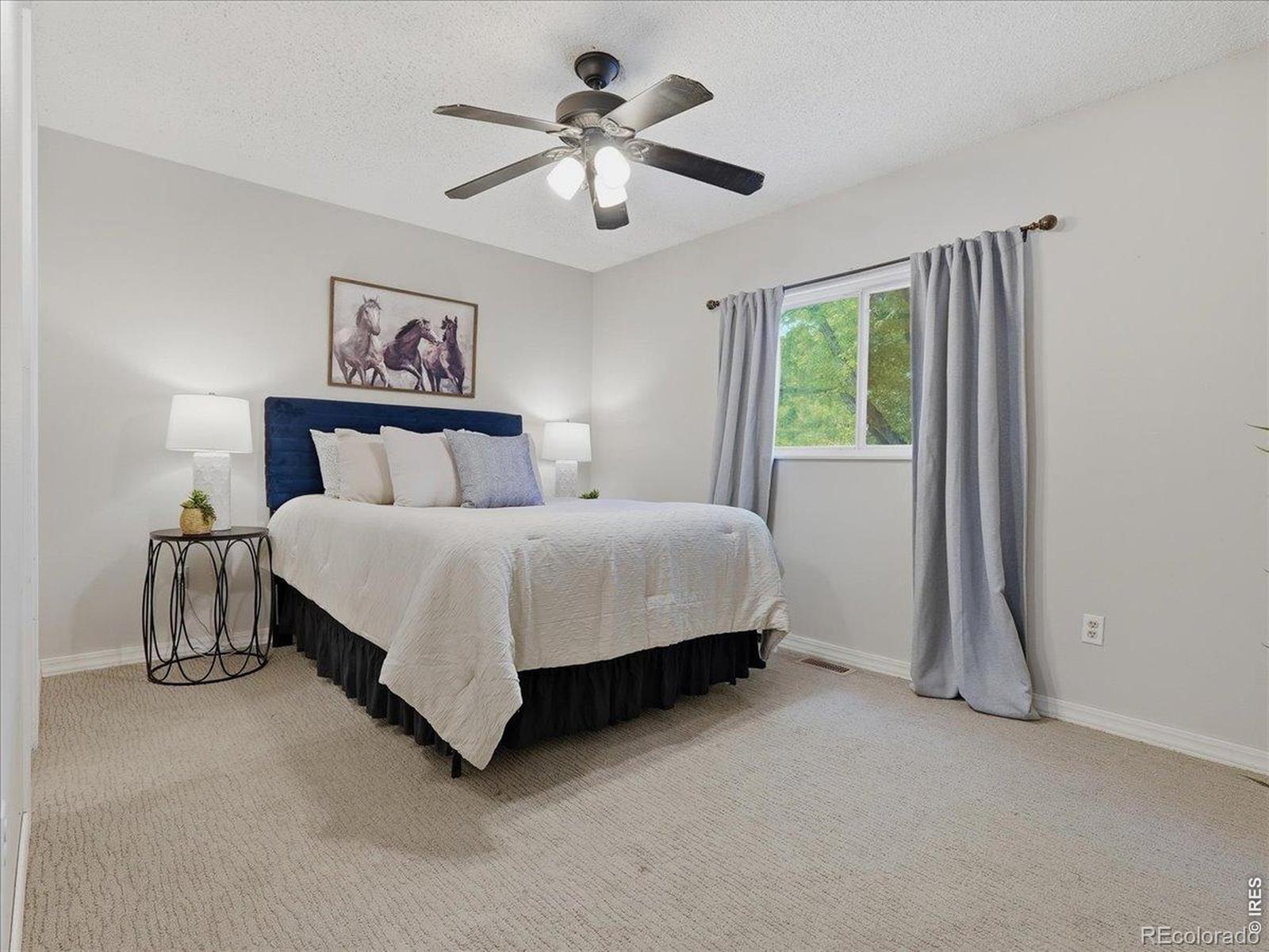 MLS Image #14 for 4313  widgeon street,fort collins, Colorado