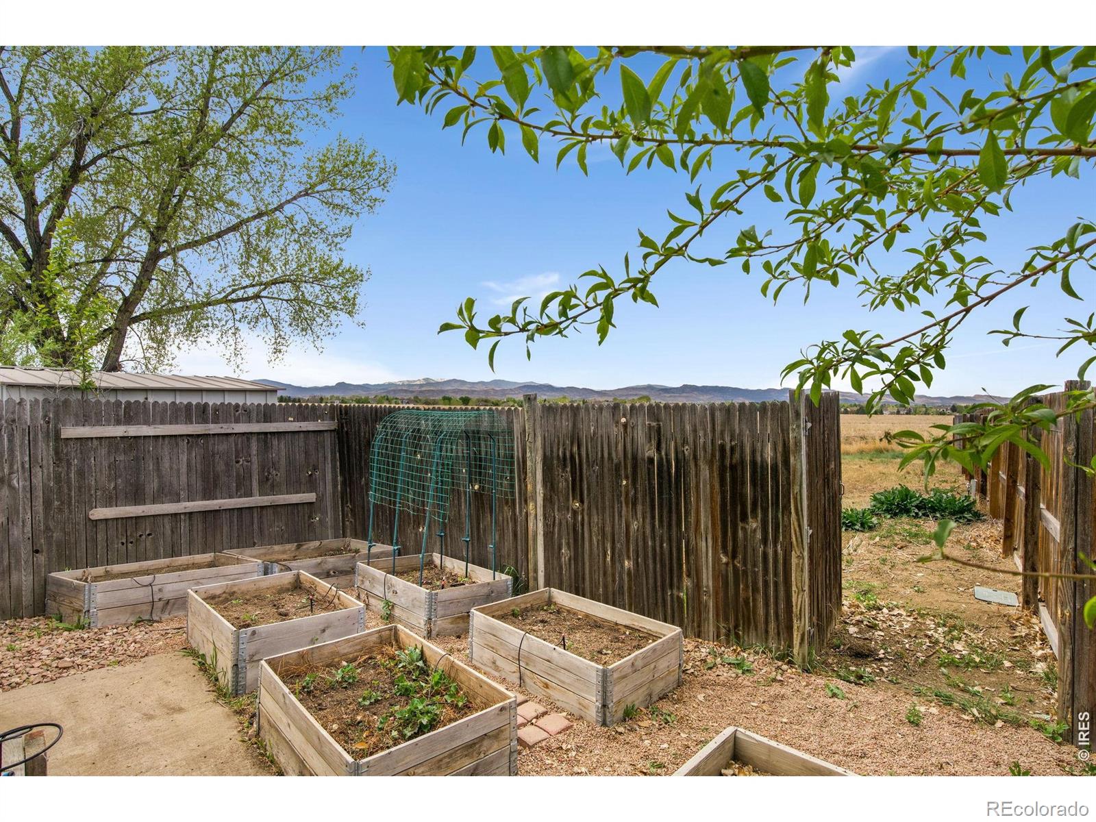 MLS Image #17 for 8333  never summer circle,fort collins, Colorado