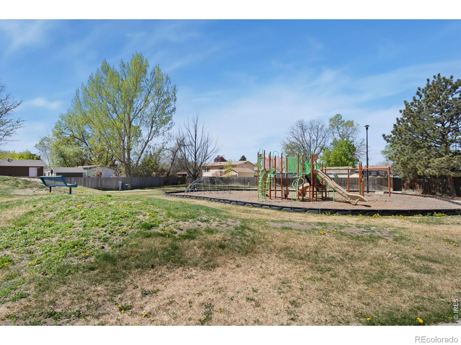 MLS Image #18 for 8333  never summer circle,fort collins, Colorado
