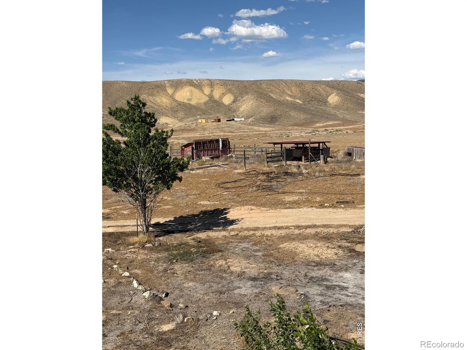 MLS Image #14 for 195  wilson boulevard,palisade, Colorado