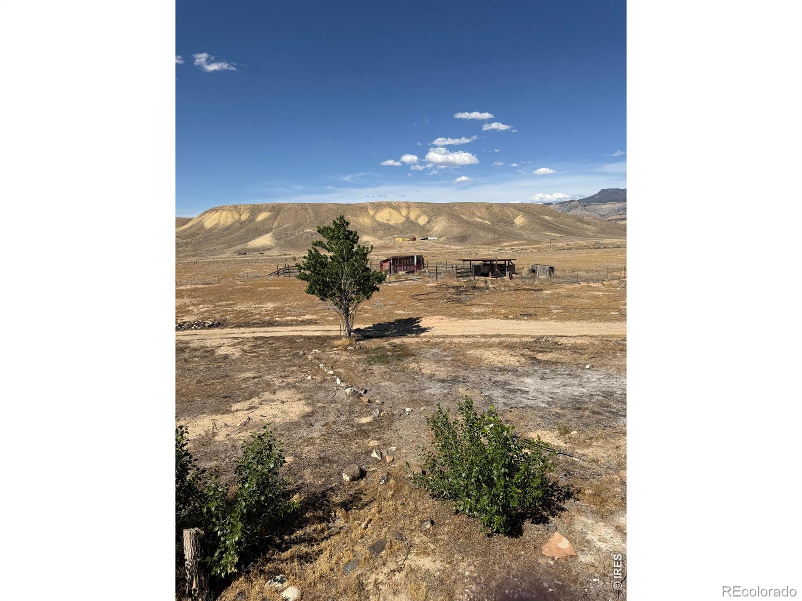 MLS Image #15 for 195  wilson boulevard,palisade, Colorado