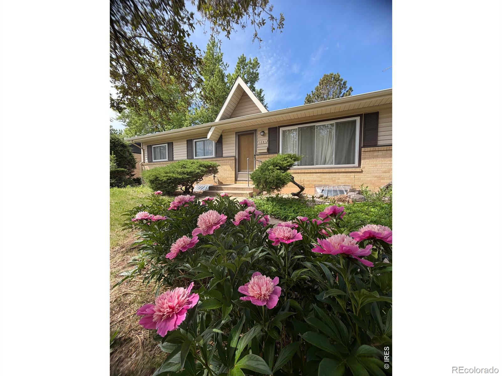 MLS Image #0 for 1041  montview road,fort collins, Colorado