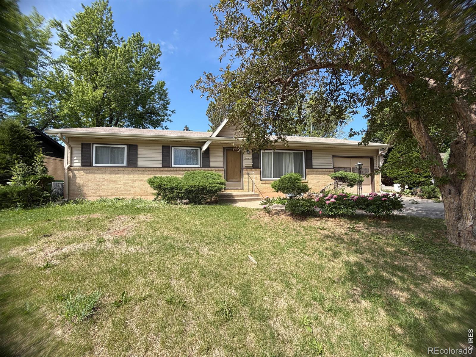 MLS Image #1 for 1041  montview road,fort collins, Colorado
