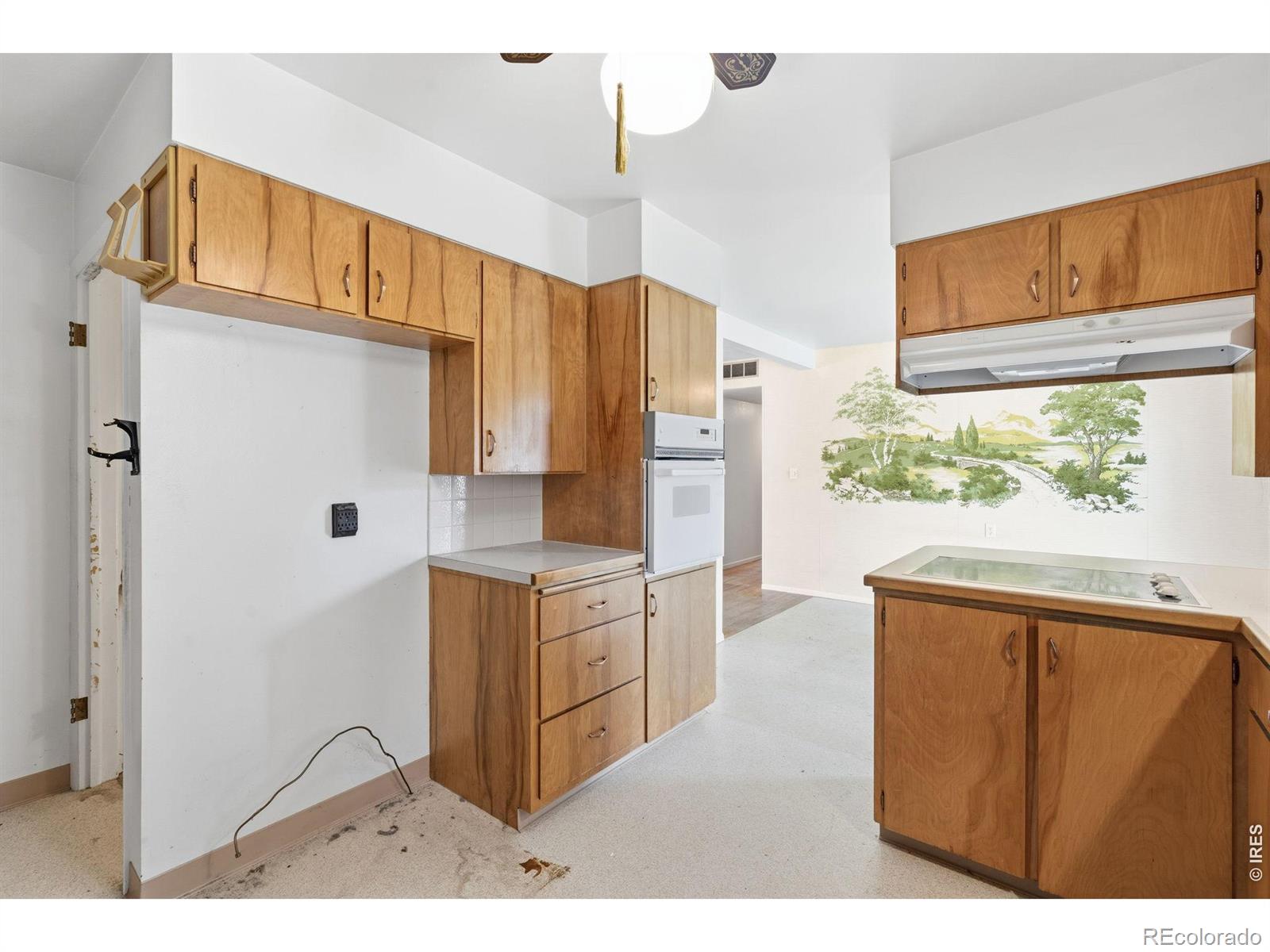 MLS Image #15 for 1041  montview road,fort collins, Colorado