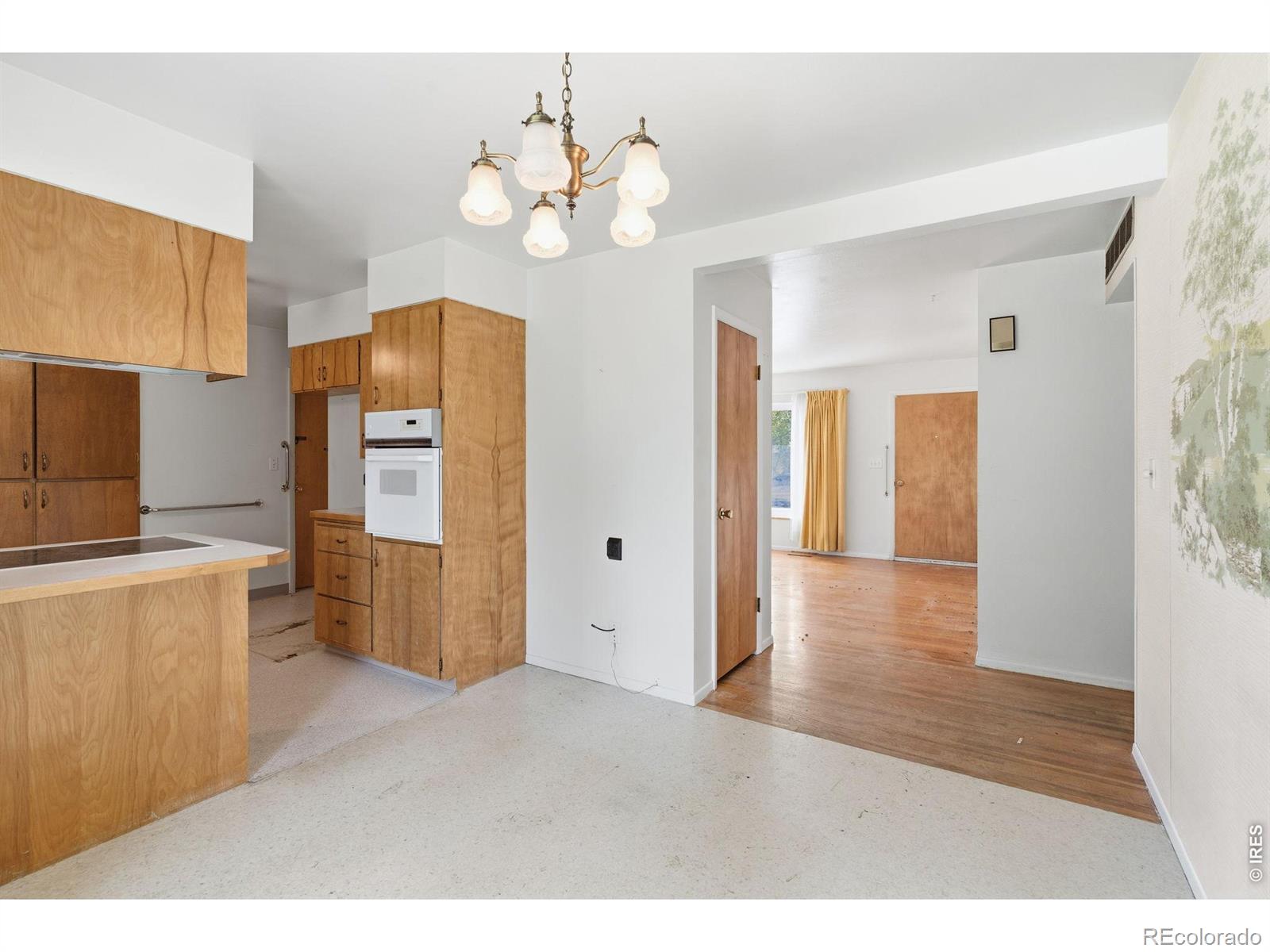 MLS Image #16 for 1041  montview road,fort collins, Colorado
