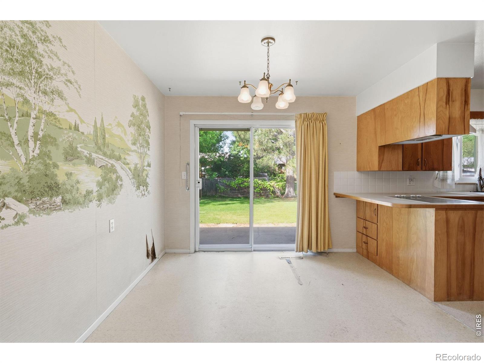 MLS Image #7 for 1041  montview road,fort collins, Colorado