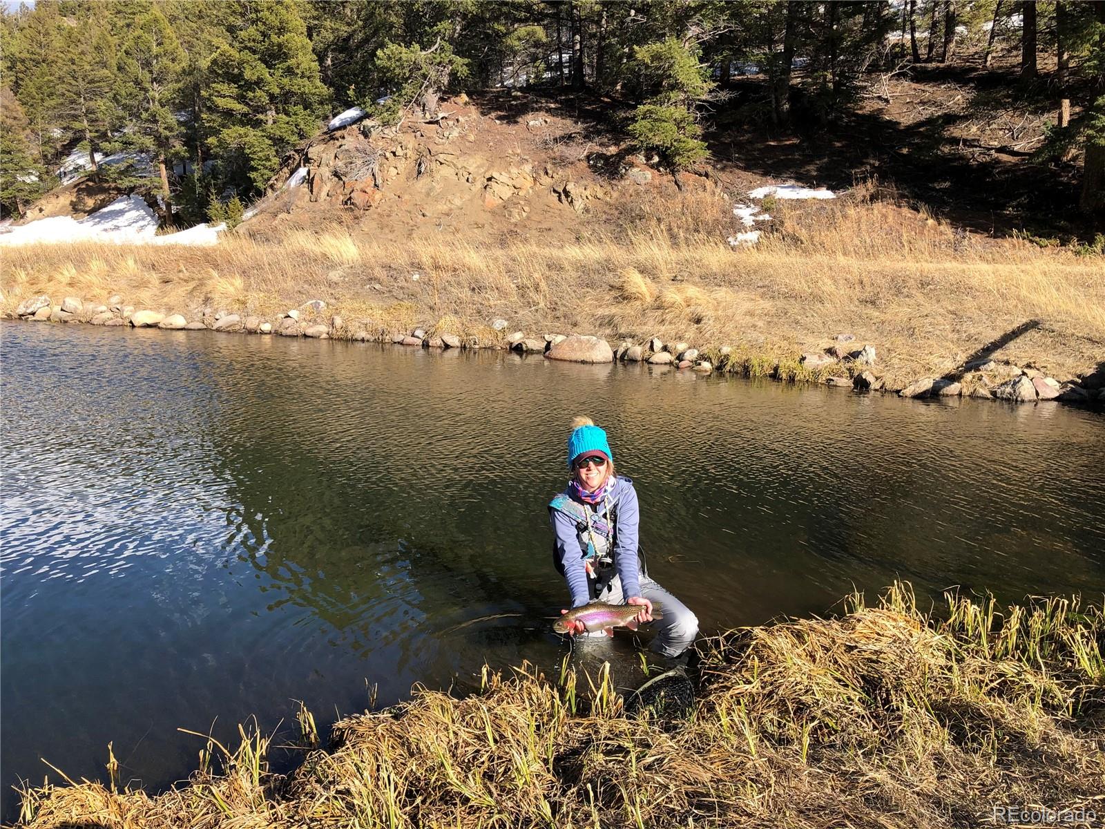 MLS Image #5 for 53  silver creek lake ,poncha springs, Colorado