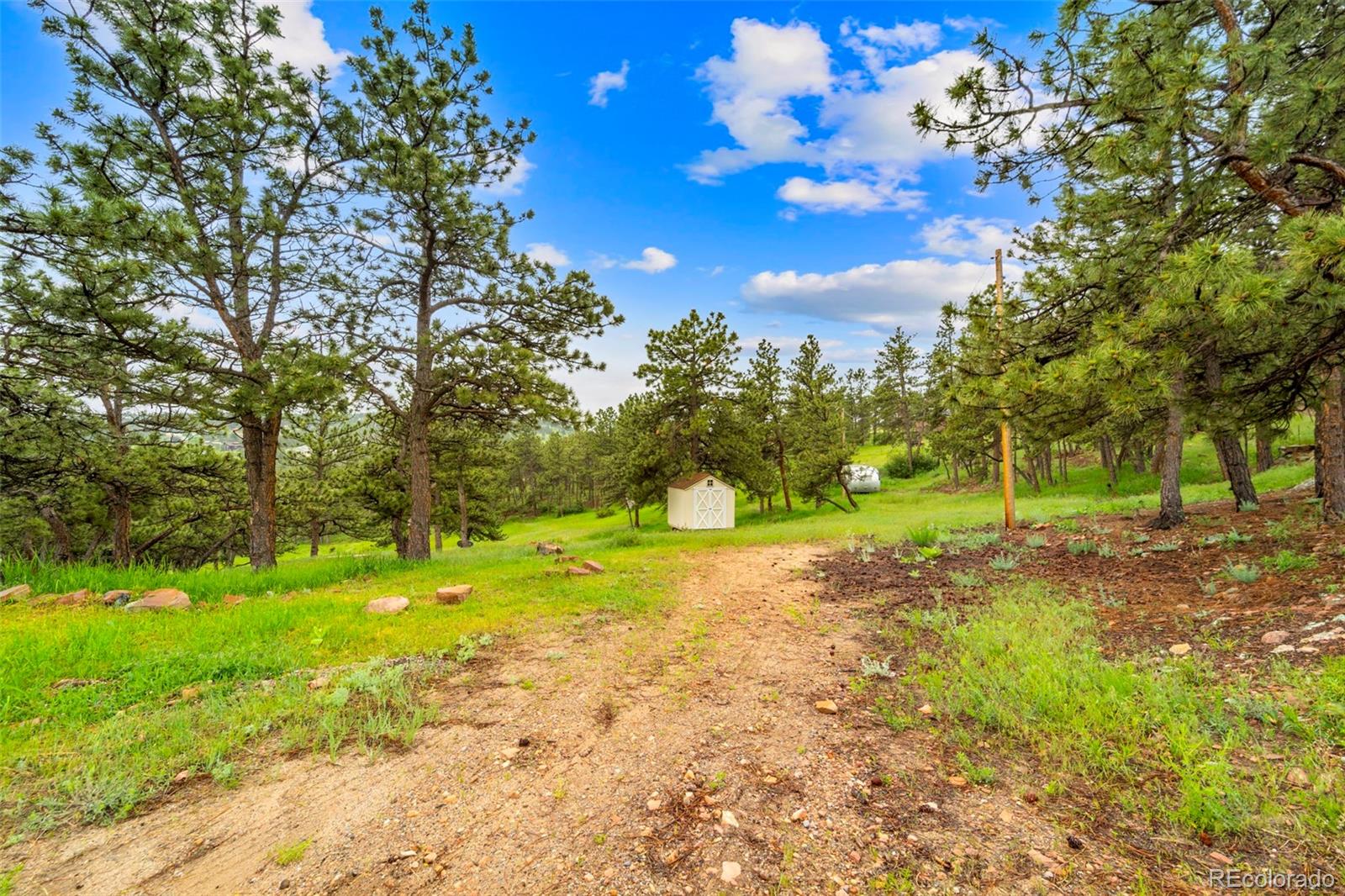 MLS Image #9 for 3204  indian blind trail,loveland, Colorado