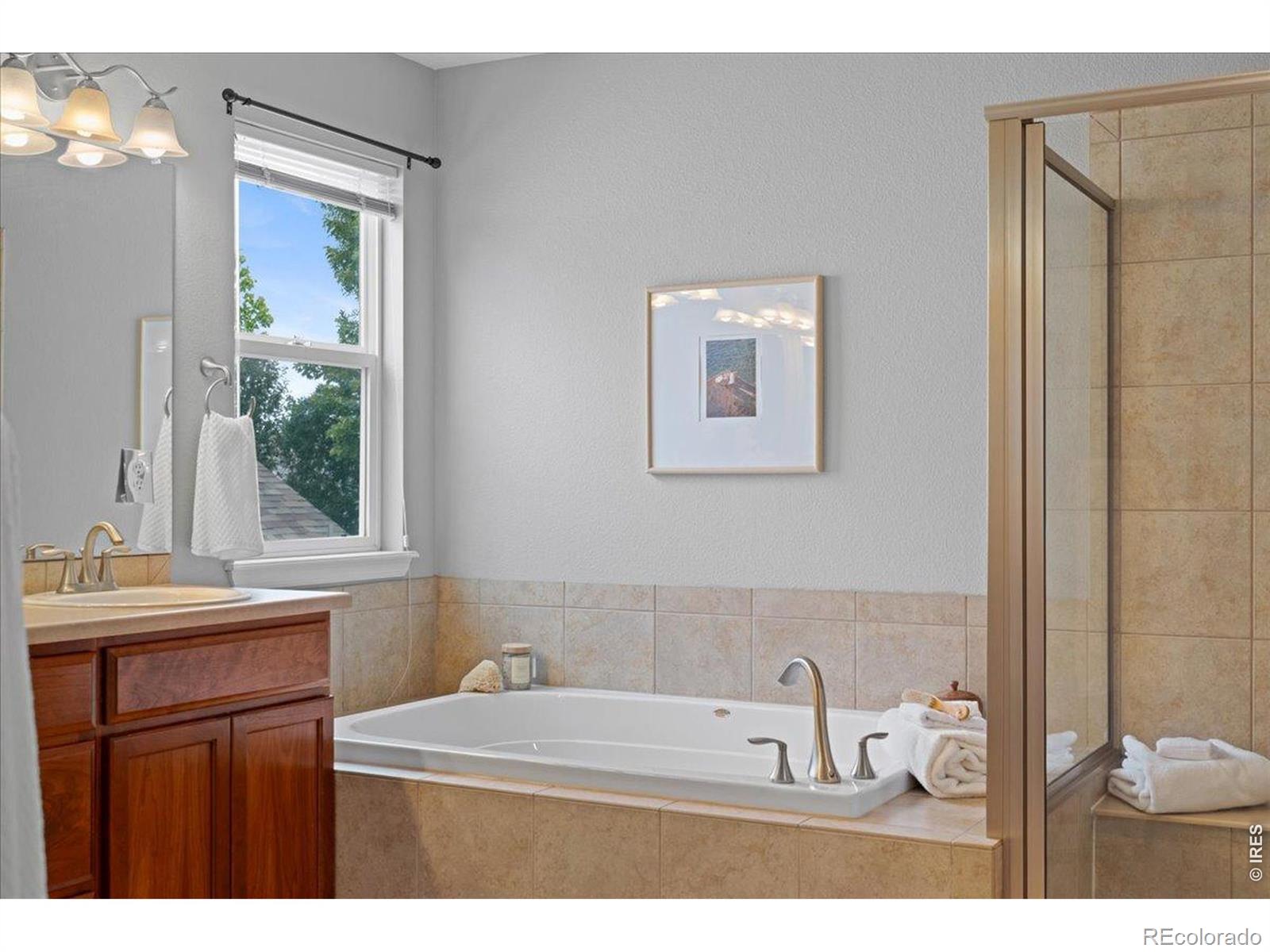MLS Image #29 for 909  burrowing owl drive,fort collins, Colorado